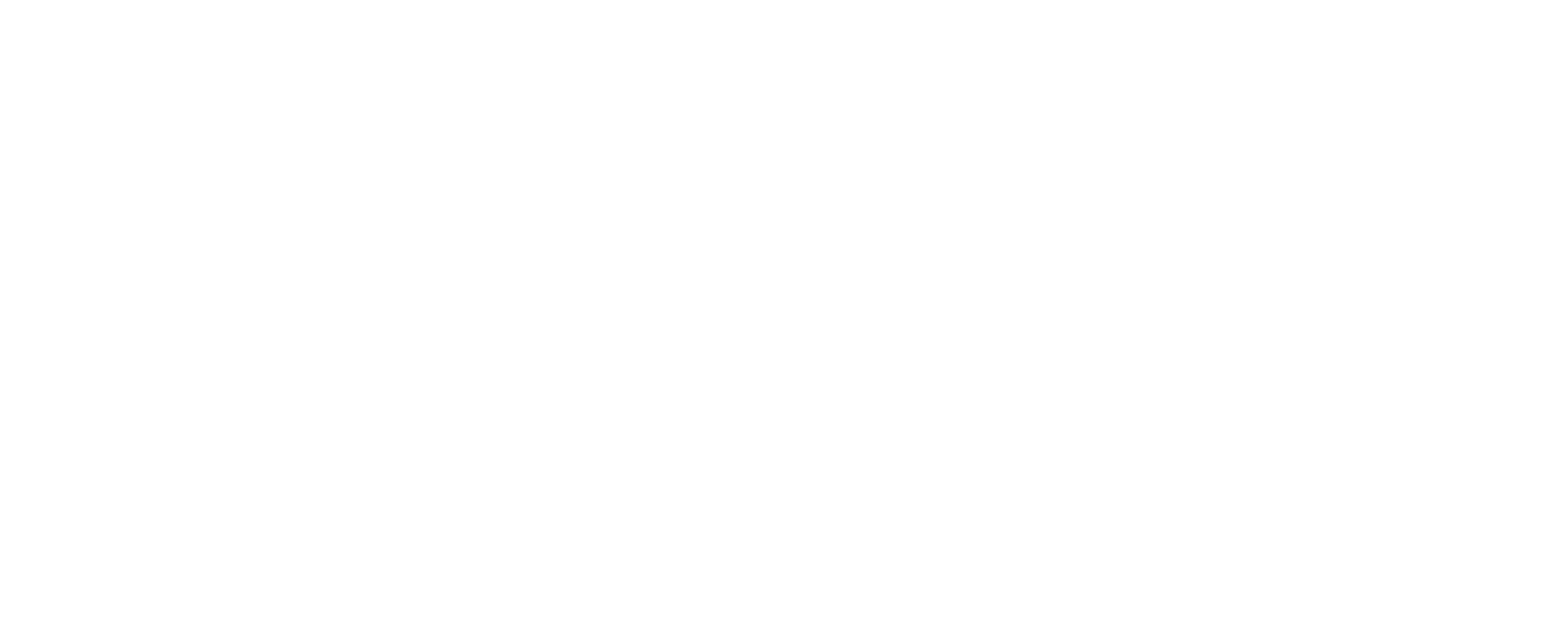 Age Friendly University Network